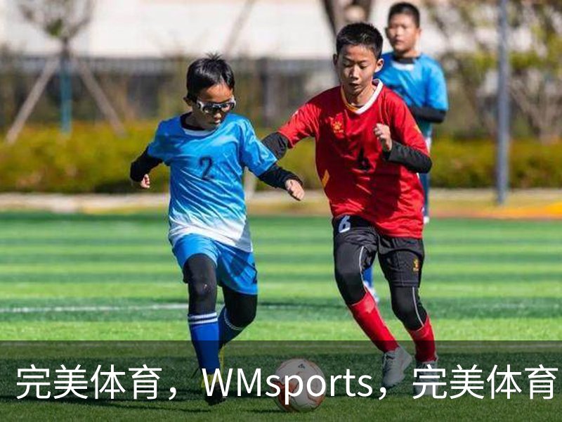 完美体育，WMsports，完美体育官方，完美体育平台，完美体育下载品牌故事